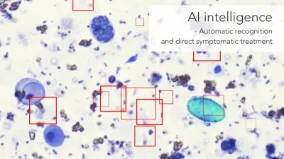 Bloodshed in the Canine World