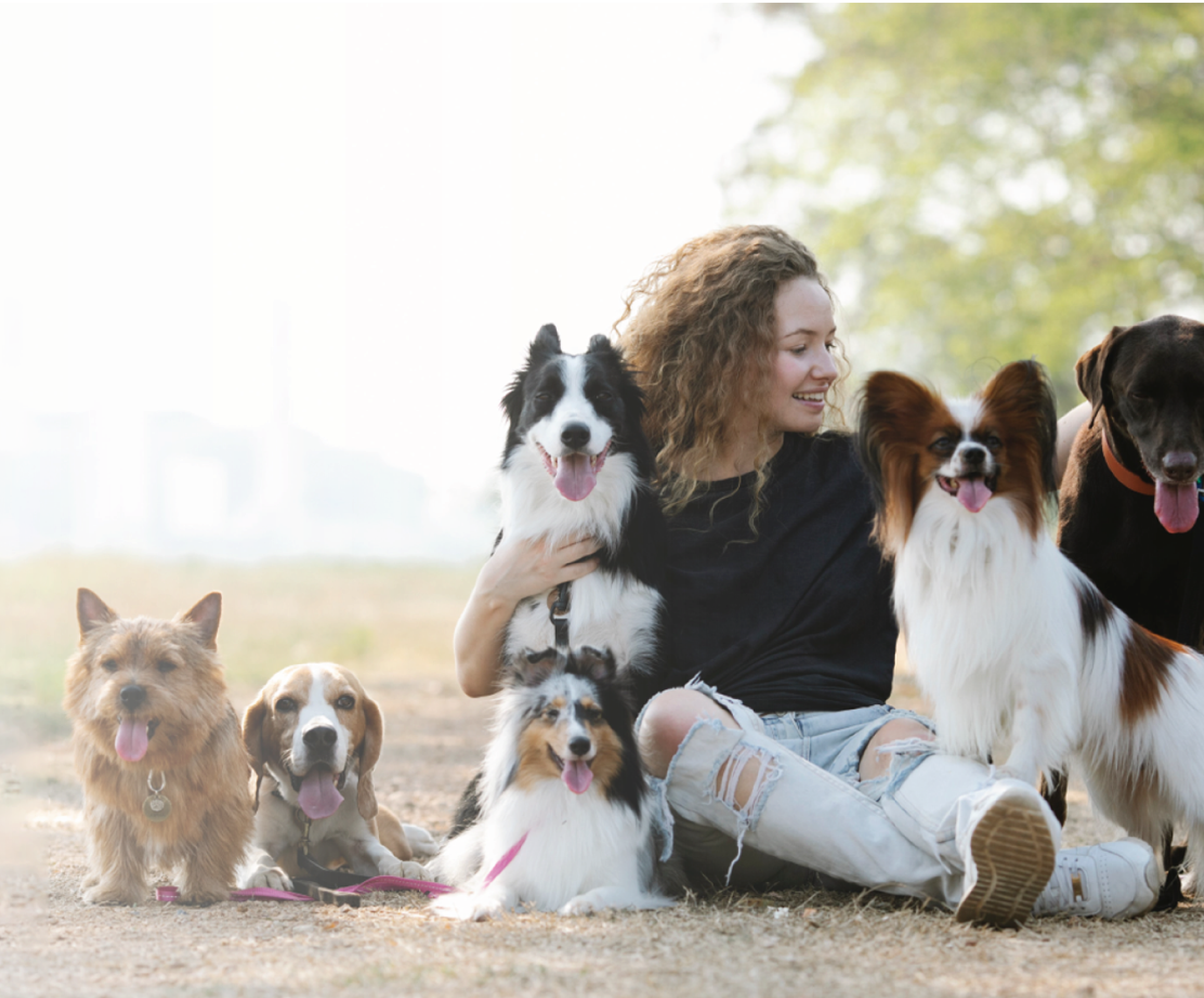 OEM/ODM cooperation process