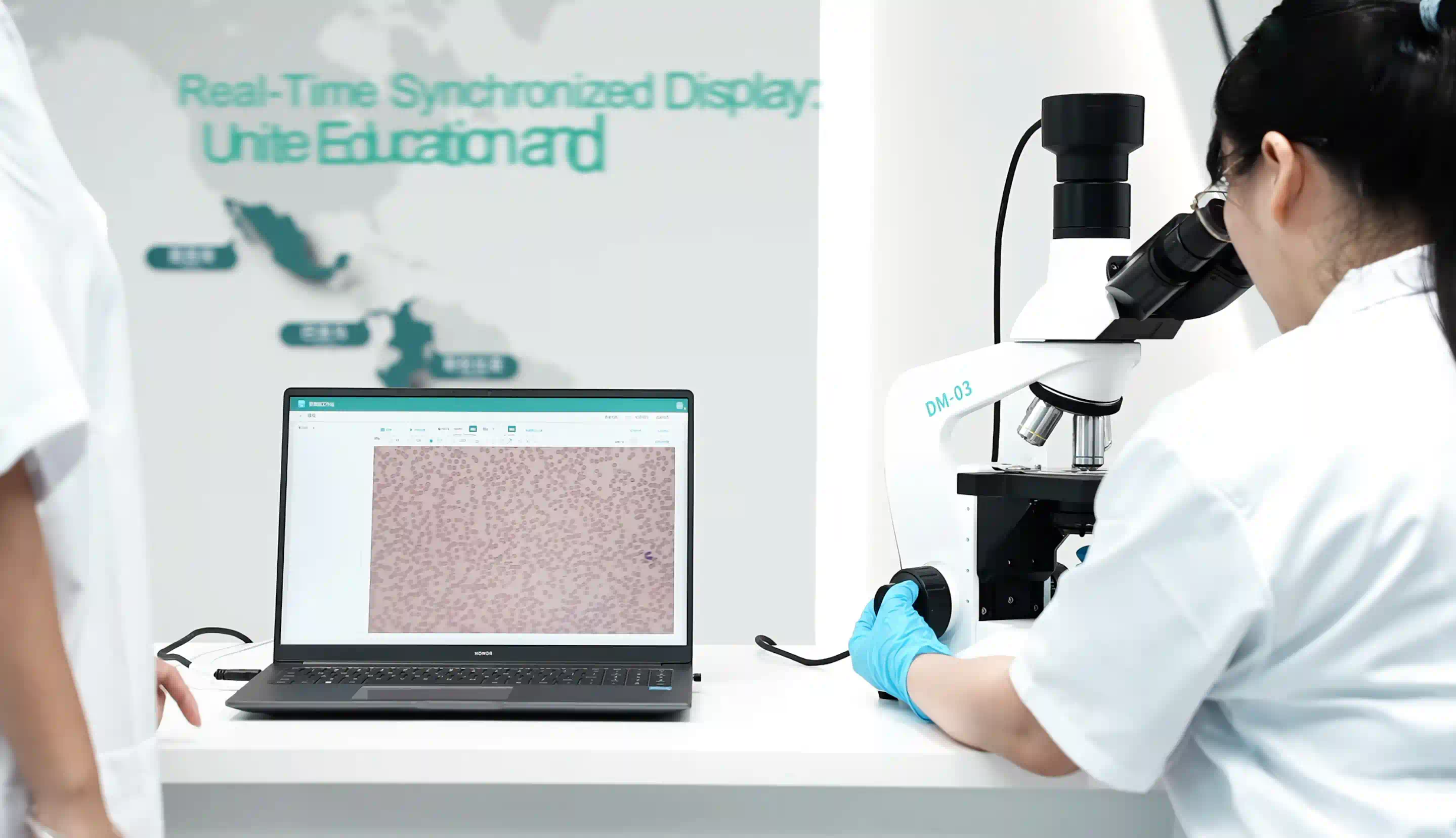 Installation training and launch