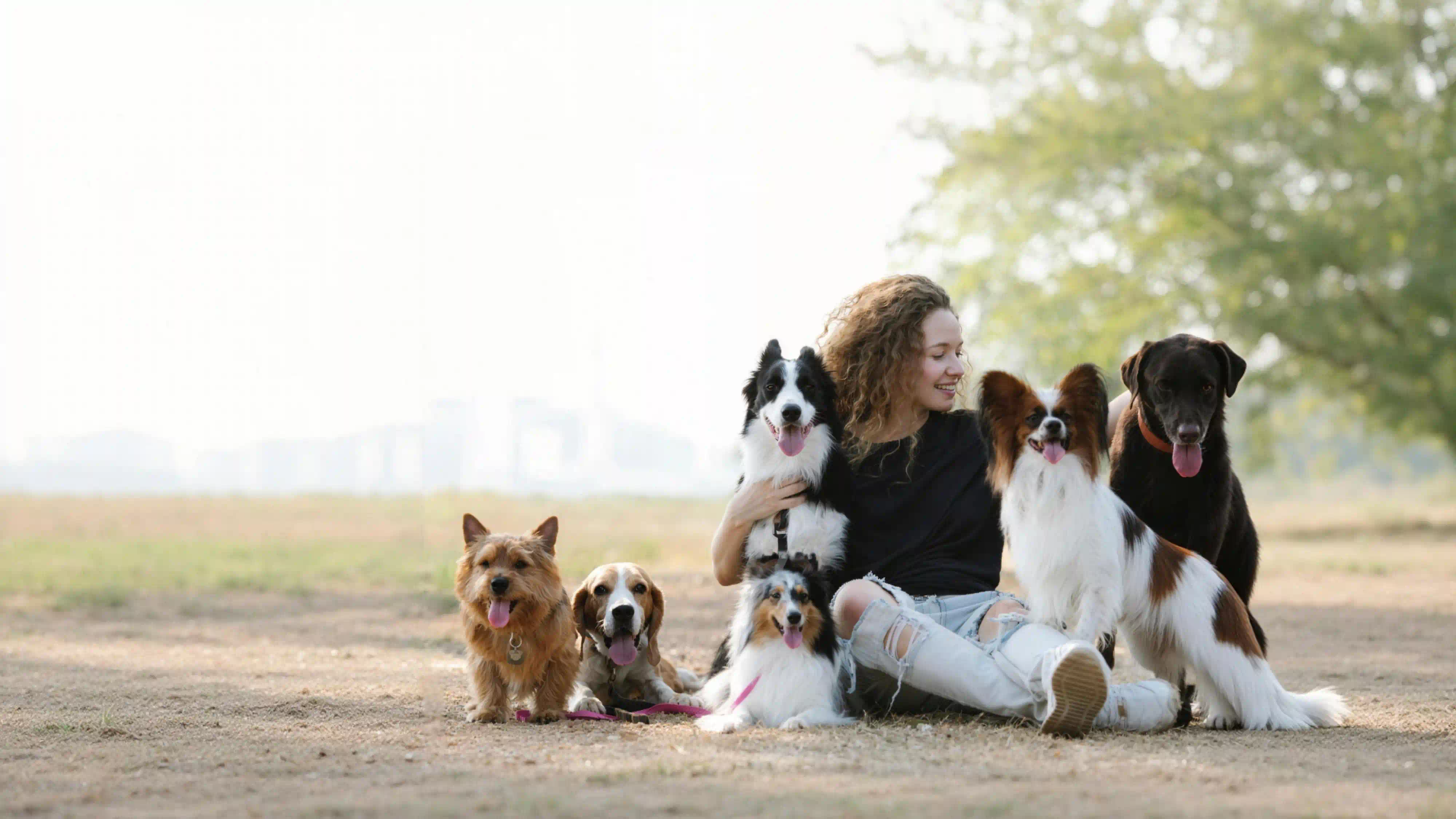 AI-Powered Morphology Analysis • Precision • Efficiency