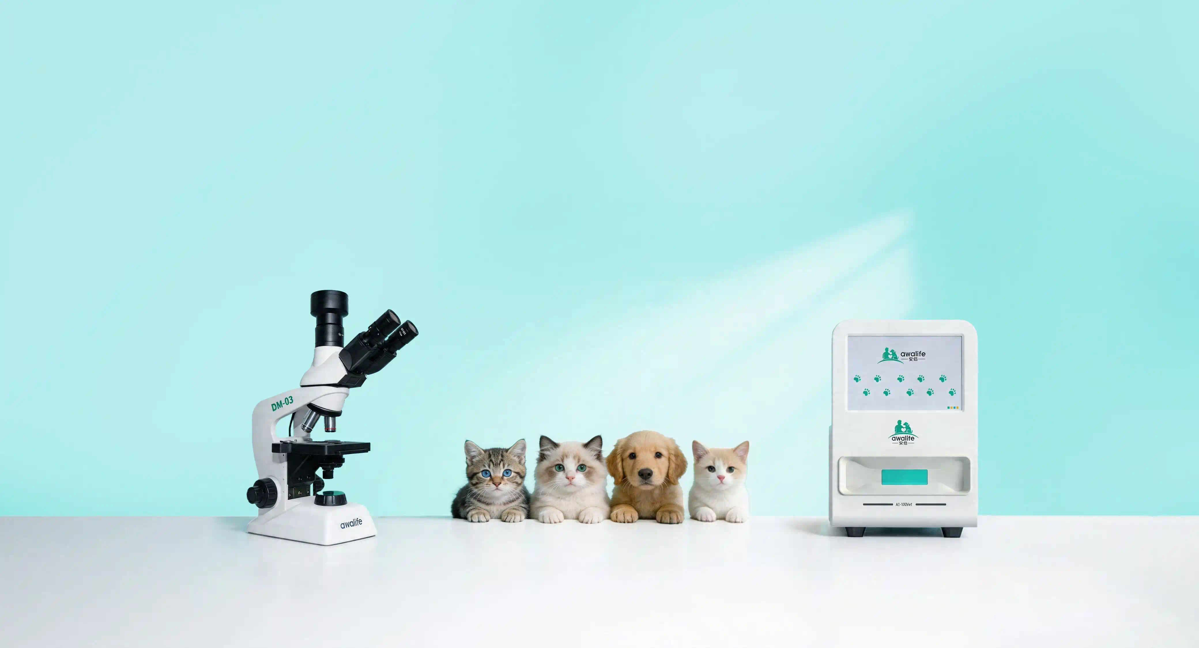 Awalife · AI Morphological Diagnosis Pioneer