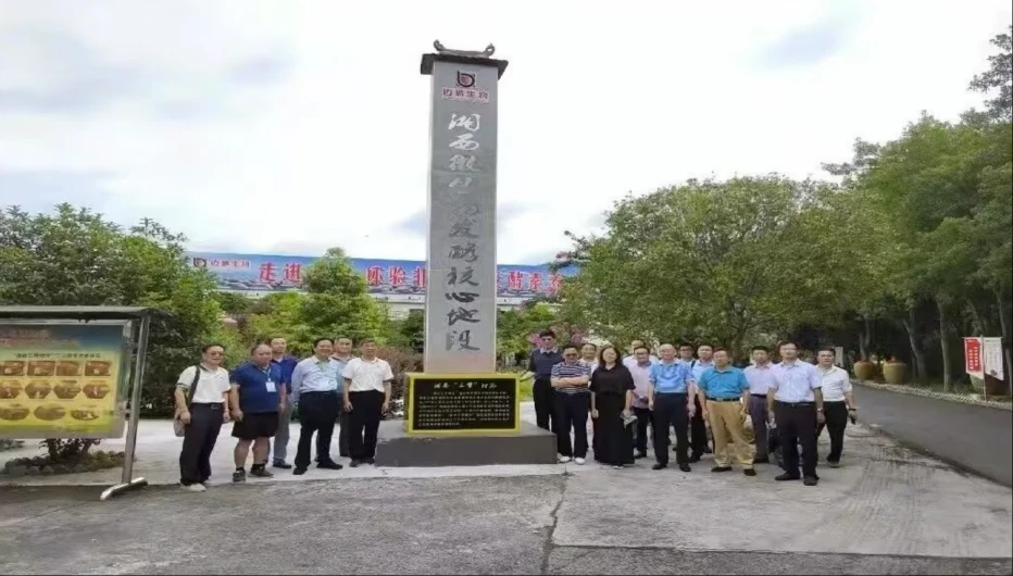 湖南边城生物科技有限公司