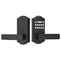 DS70 Smart Handle Lock