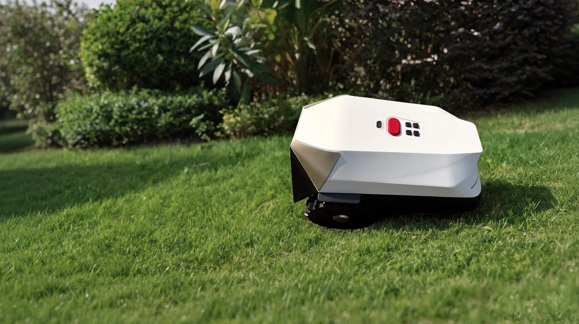 Robot Garden Ecosystem: Pools to Lawns