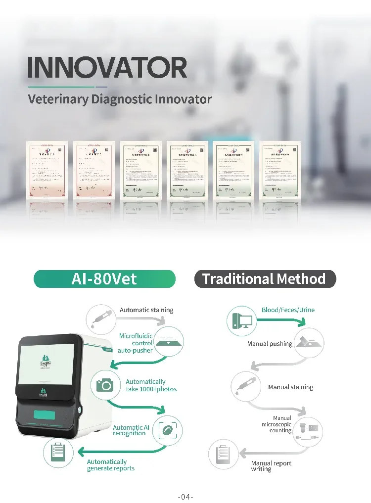 AI-80Vet(英文版)1.webp