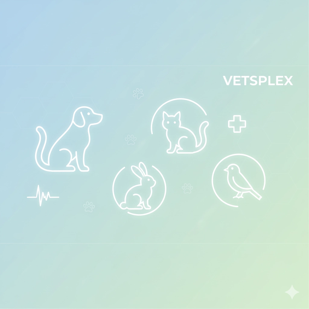 Empowering Your Veterinary Clinic