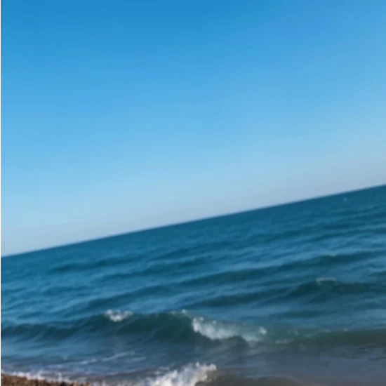Swimming Wear