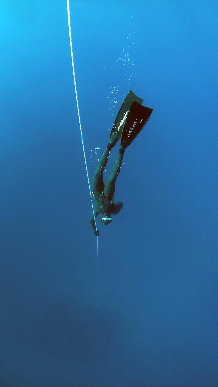 Blog Image