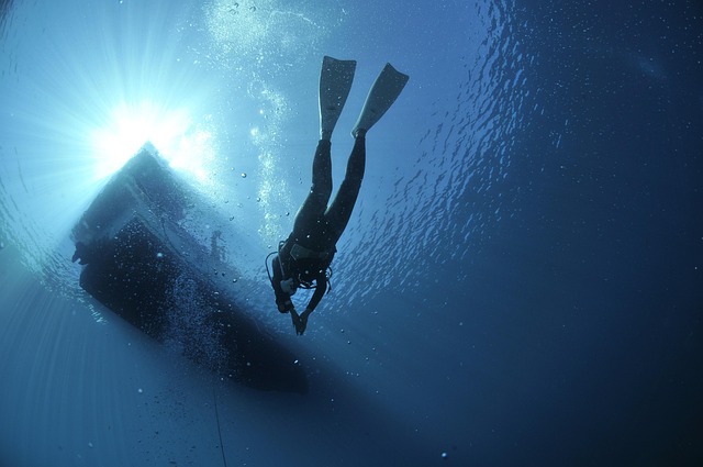 diving-1639964_640.jpg