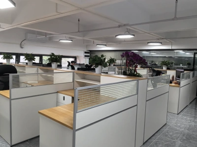 Professional Design Team