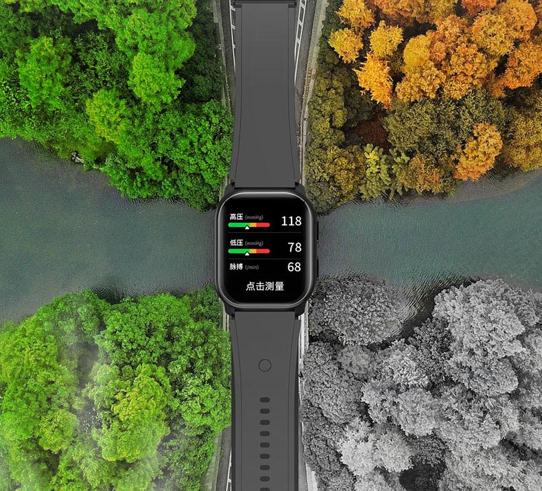 VP21 blood-pressure watch designed for year-round everyday use