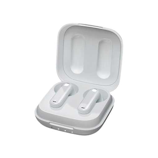 WT2 Real-time Earphone Translator