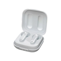 WT2 Real-time Earphone Translator
