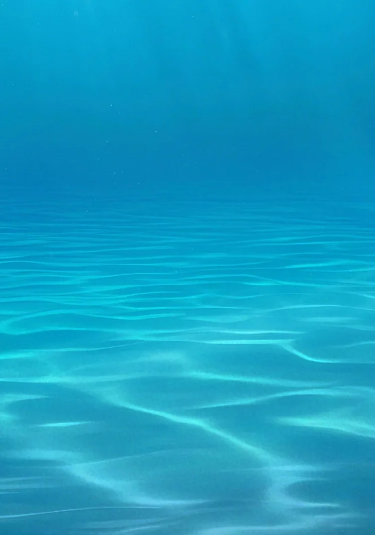 Titan Submarine Vehicle