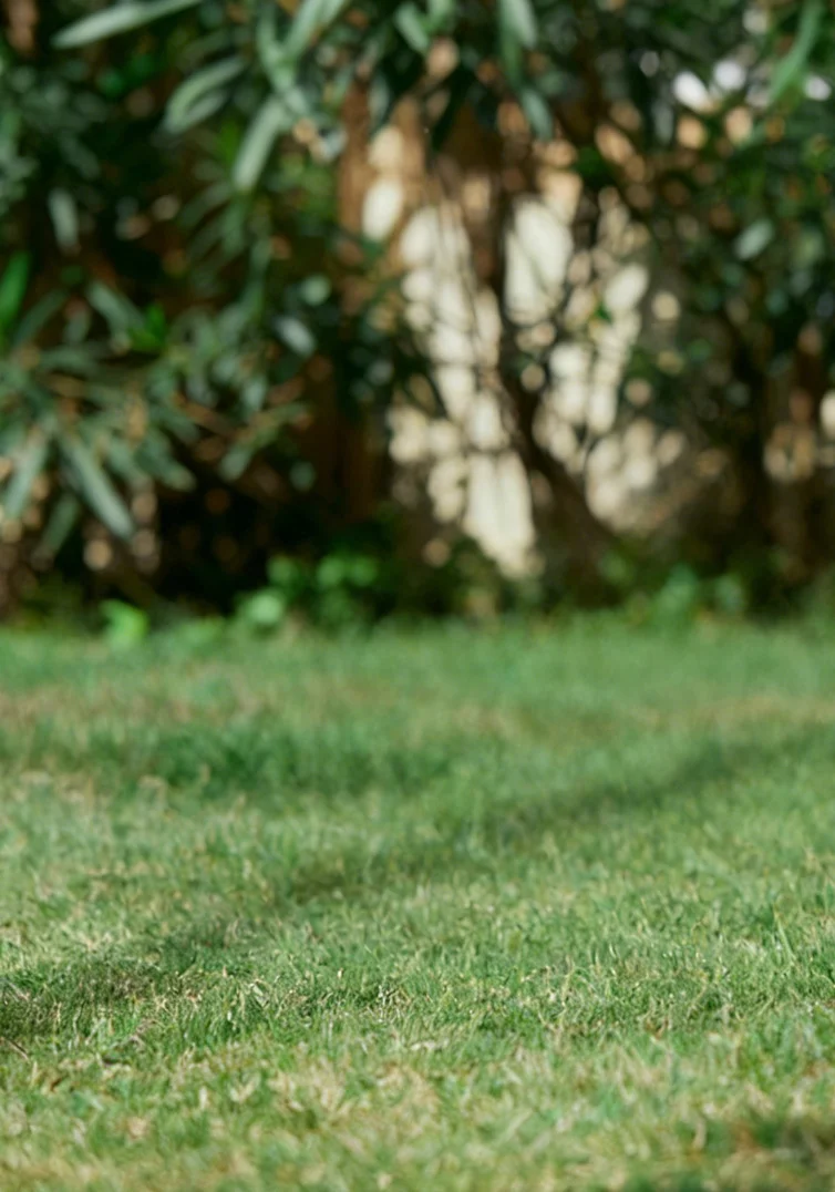 HEISENBERG Robot Mower