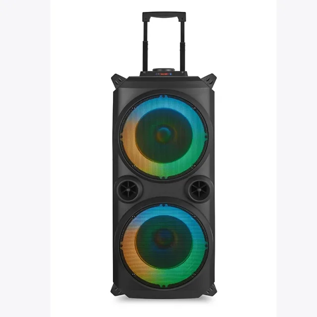Dual 8" Party Speaker With Trolley Handle PT9806A