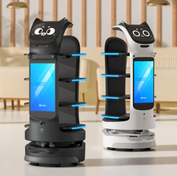 Robots de livraison commerciale PUDU