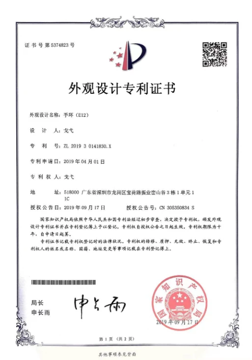 Patent