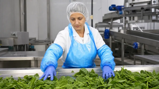 disposable apron food processing buyer guide cover image