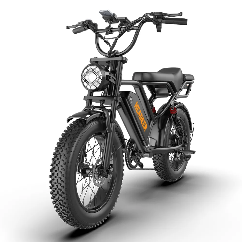 BK20 Fat-Tire Electric Bike