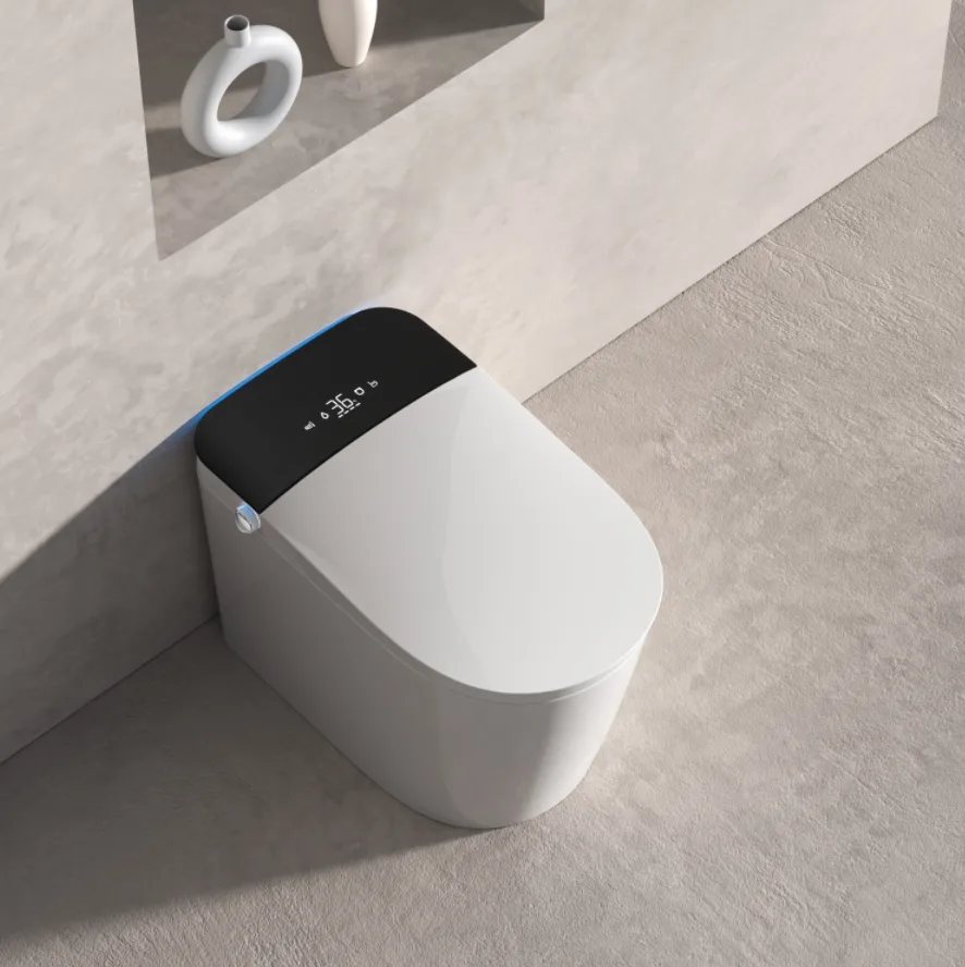 W5935 Smart Toilet
