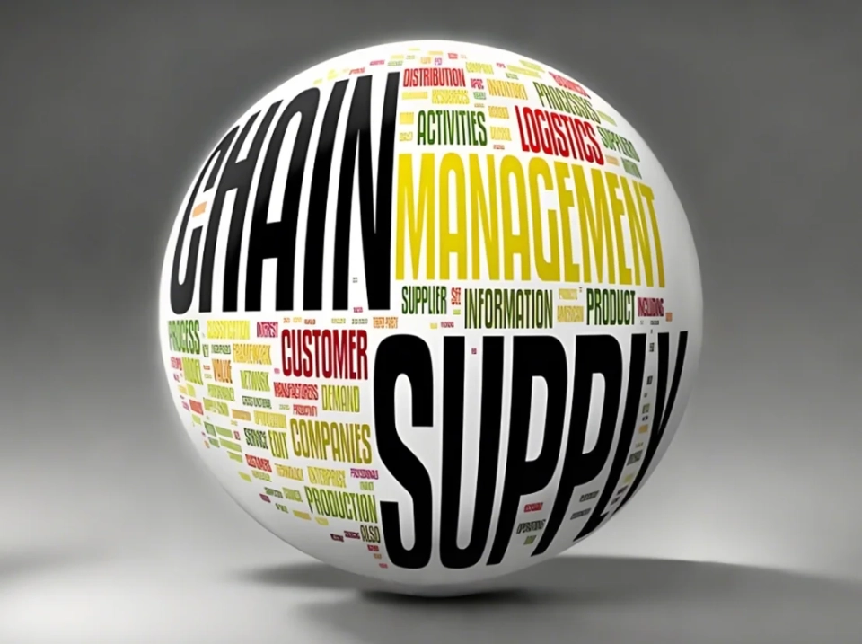 Versatile Supply Chain Expertise for Diverse Industry Needs
