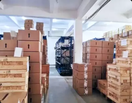 Global Export Experience