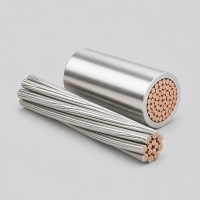 Tinned Copper