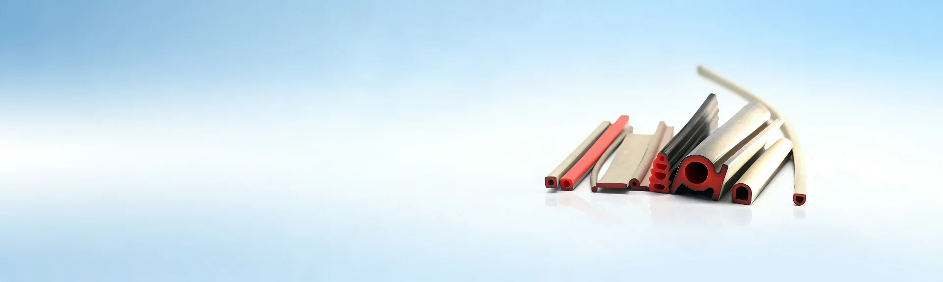 Rubber Gaskets & Seals