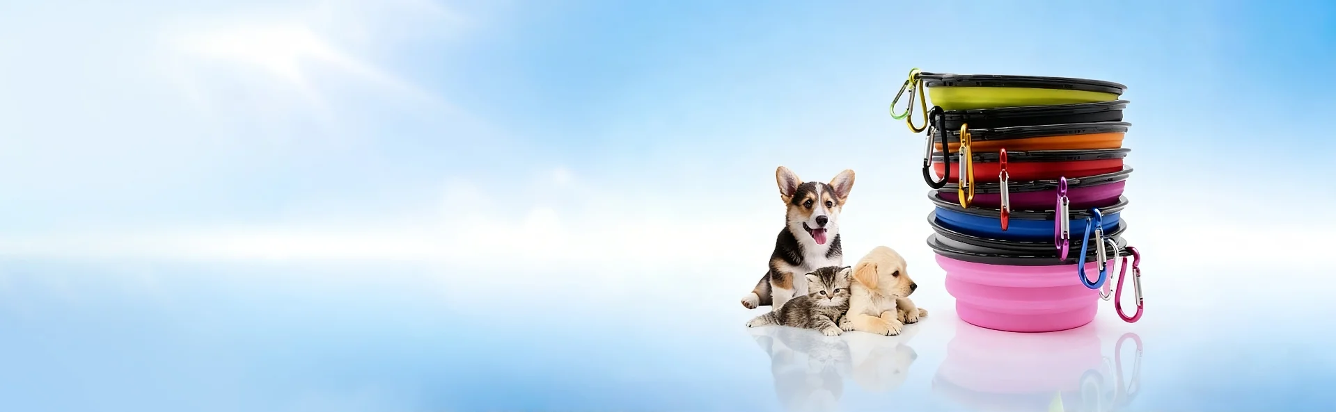 Silicone Consumer Products