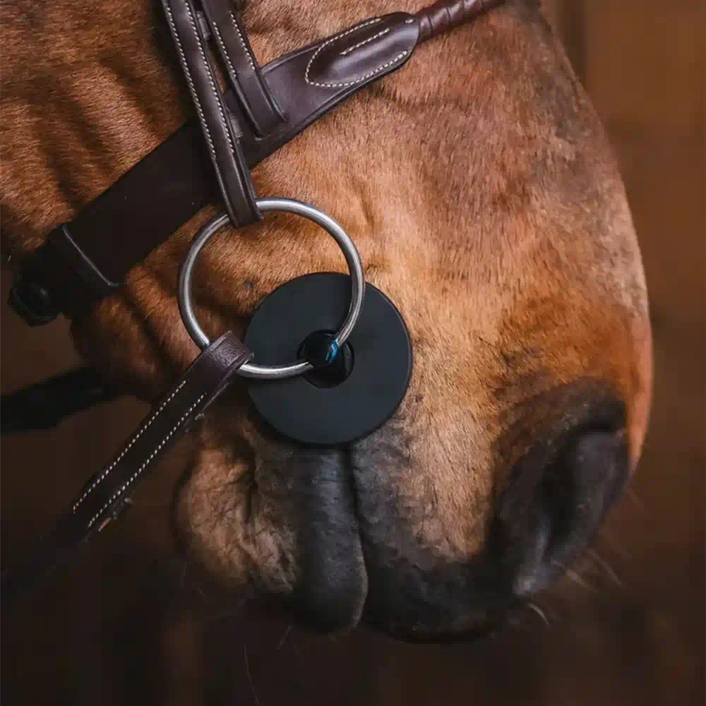 Custom Silicone Horse Muzzle Pad