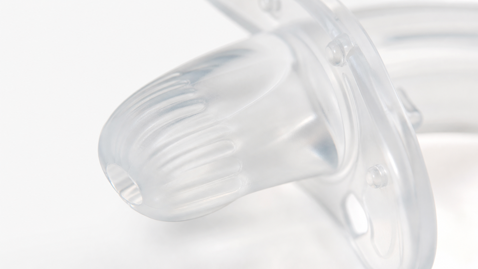2026-2028 Europe Horse Bit Protection Trends: Why Silicone Bit Guards Are Replacing Traditional Rubber Options