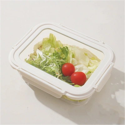 Silicone lunch box