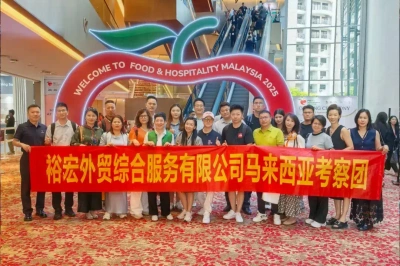 Diving into the Market: Insights into Malaysia's business ecosystem