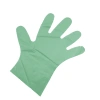 Disposable biodegradable glove
