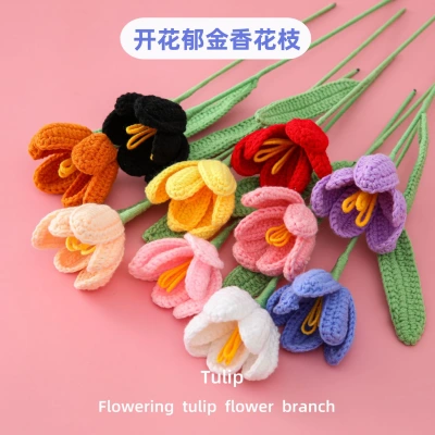Springlitcraft