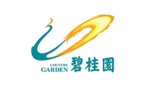 Tech Partner 1
