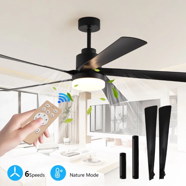 Fan light