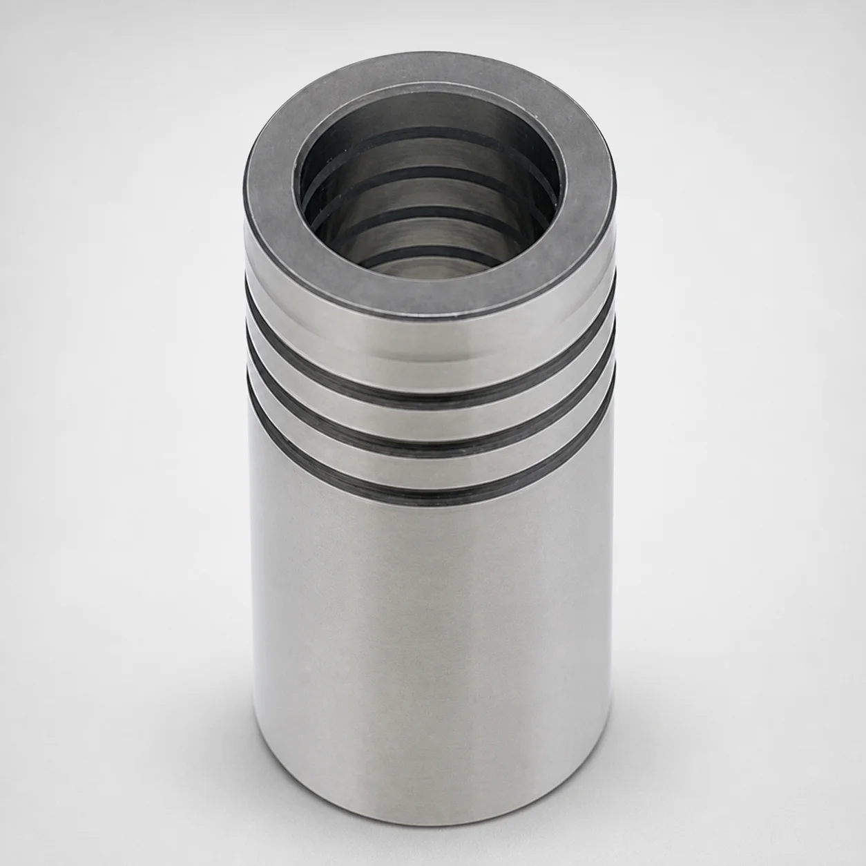 DIN Standard Oil-Free Plain Guide Bushings LDBZ