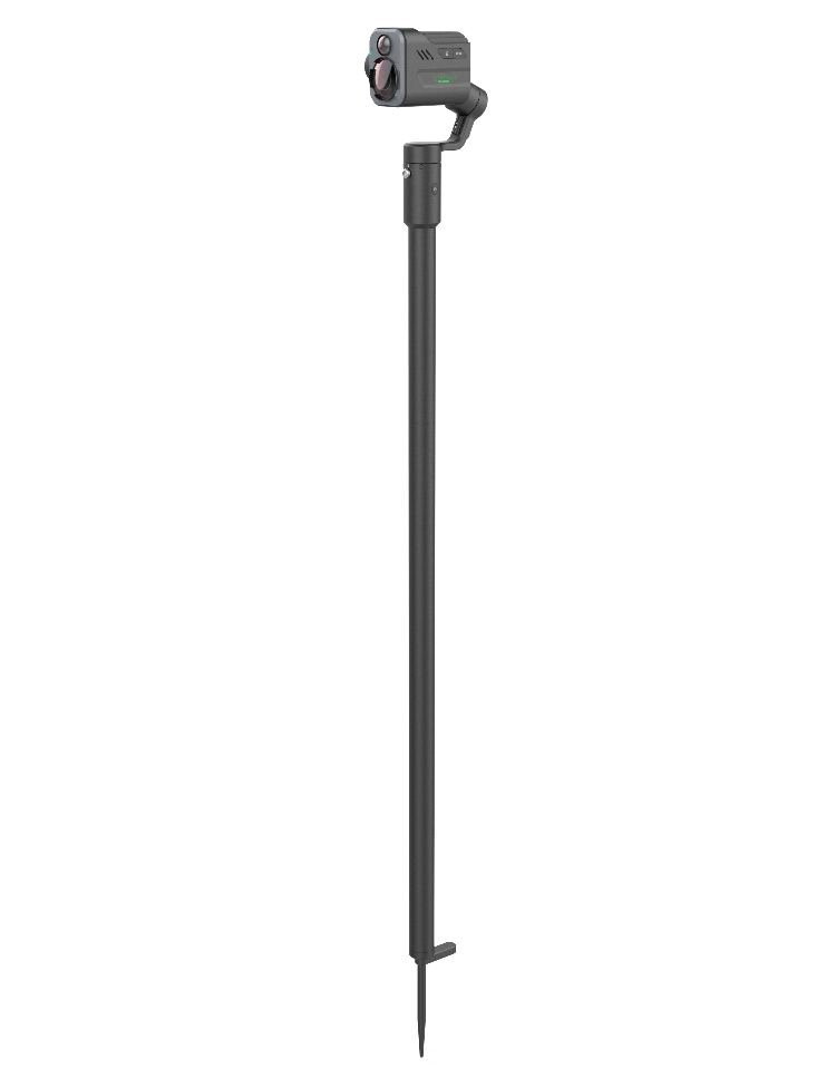 Full Body with Ground Spike