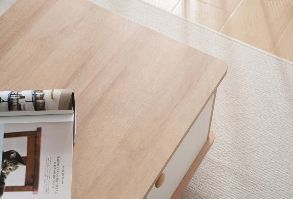Modern Double-Sided Storage Coffee Table G7000 detail 8