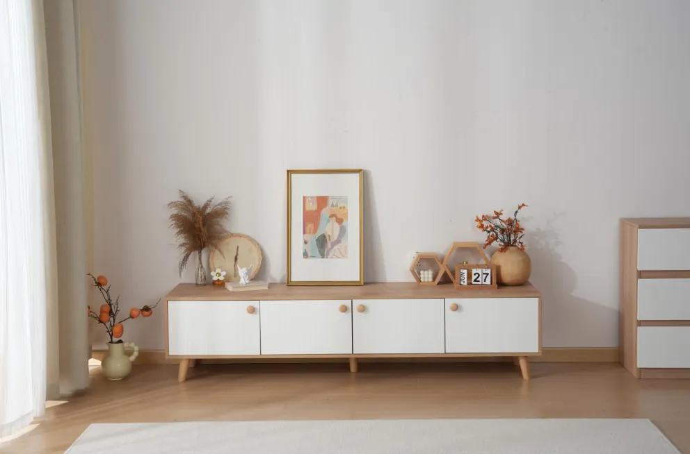 Floor Standing Modern TV Stand F6000 - Storage Detail