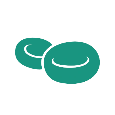 True-to-life morphology, crystal-clear diagnostic details.
